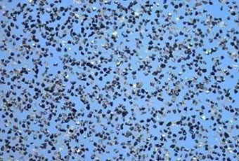 Cbn Micron Powder, Brand Name : MDC for grinding