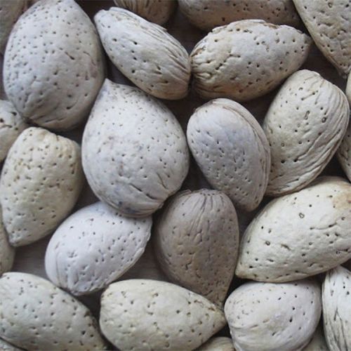 Kashmiri Shelled Almonds