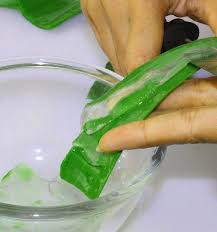 Aloe vera pulp, Brand Name : Vedaan Aarogya Herbs