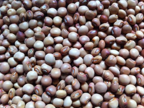 Pigeon peas