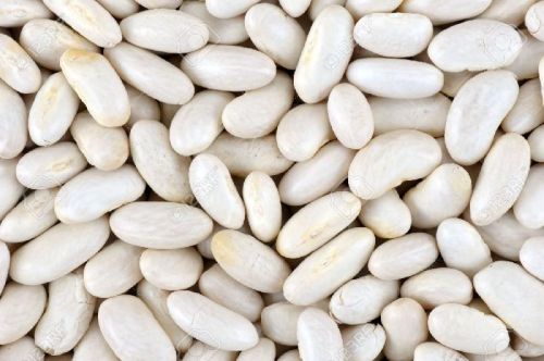 White kidney beans, Application : Cooking, Salads, Soups