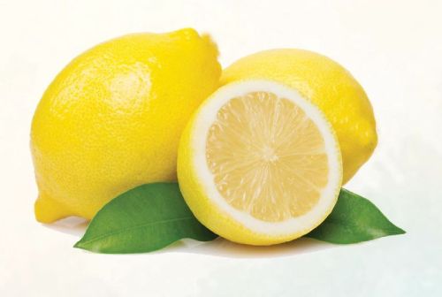 Lemon, Cultivation : Organic