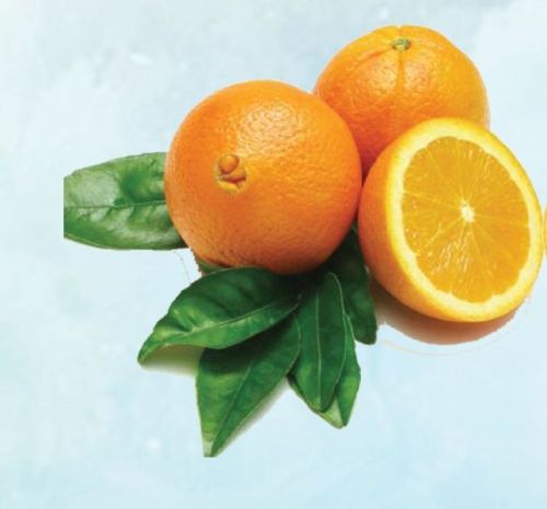 Navel Orange