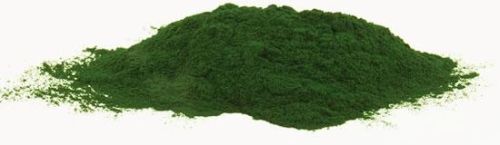 Spirulina powder, Usage : Medicinal