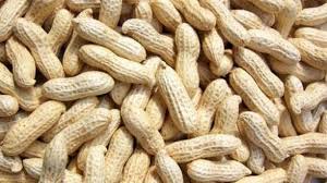 Shelled Groundnuts