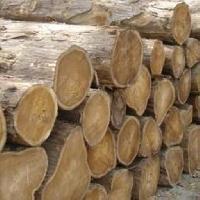 Sheesham Timber, Color : Brown