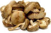 Natural Shiitake Mushroom, Color : Brown