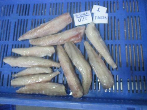 Frozen Bombay Duck Fish, For Home, Restaurant, Hotels Food