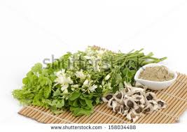 Moringa dried leaves