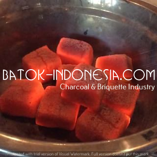 Shisha Coconut Charcoal Briquette, Brand Name : private labale