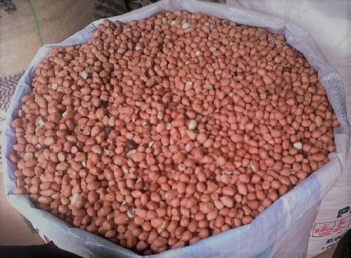 Shelled Peanuts for Food, Oil, Fats, Butter