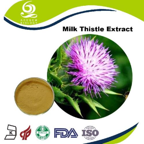 Milk Thistle Extract 80% Silymarin