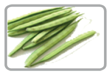 Fresh Green Beans, For Cooking, Packaging Type : Jute Bag