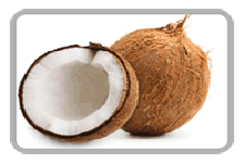 Soft Organic Fresh Coconut, For Free From Impurities, Freshness, Good Taste, Form : Solid