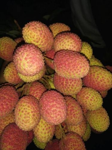 Smart Green Fresh Litchi, Style : Smart Green