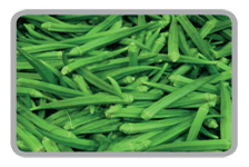 Fresh Ladies Fingers, Packaging Type : Jute Bag