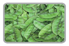 Organic Fresh Lima Beans, For Cooking, Packaging Type : Jute Bag, Net Bag