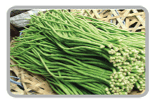 Organic Fresh Snake Beans, For Cooking, Packaging Type : Jute Bag