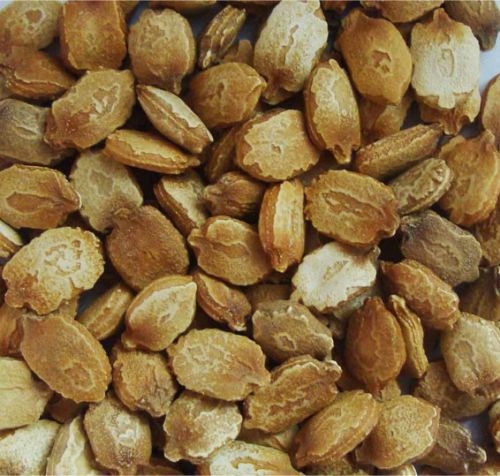 Dehydrated Bitter Gourd Seeds