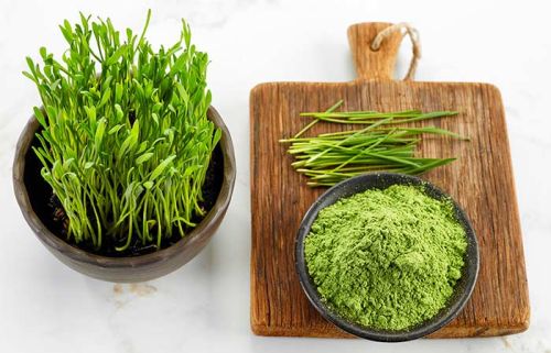 Wheat grass powder Form : Powder