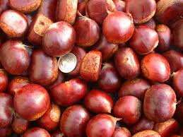 Raw Chestnuts, Certification : HACCP, BRC, IFS, JAS, NOP, USDA
