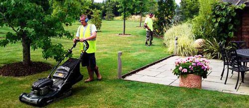 Garden Cleaning Services