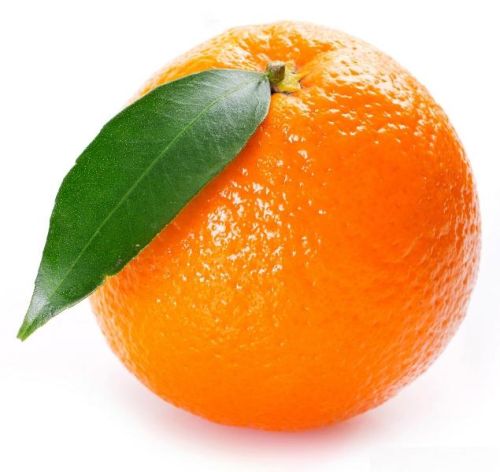 Fresh Orange, Packaging Type : Bulk