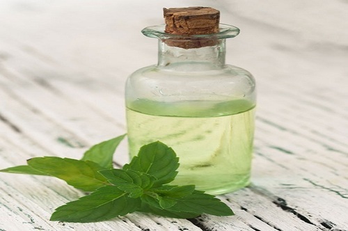 Spearmint Oil