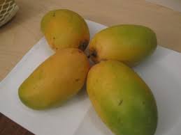 Kesar Mango