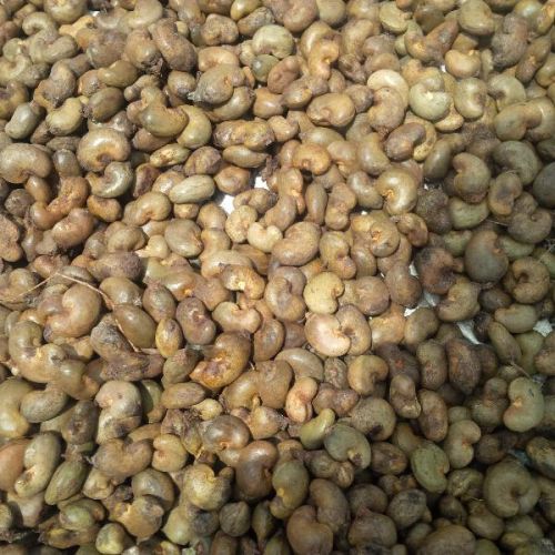 Cashew nuts, Color : White, Creamy