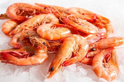 Fresh Prawn Fish, Packaging Type : Bulk