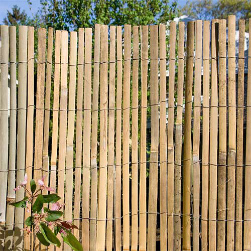 Bamboo poles
