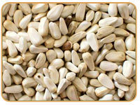 American Saffron Seeds