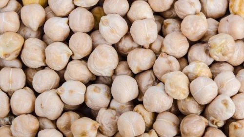White chickpeas, Shelf Life : 1 Year