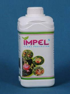 Impel X Botanical Bactericide & Fungicide