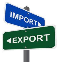 Import Export Licensing Services