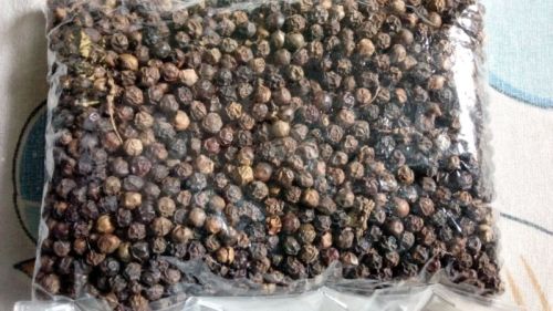 Black Pepper Seeds
