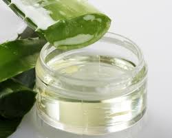 Four Season Aloe Vera Gel