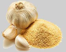 SHREE JTC Garlic Powder, Packaging Type : 200 GM, 500GM, 1KG, 5KG, 10KG, 20KG, 30KG