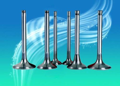 Marine Engine Intake Valve