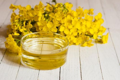 Rapeseed oil, Health Benefits : Lowers Cholesterol