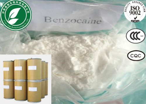 Local Anesthetic Benzocaine For Pain Killer