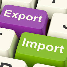 Import Export License