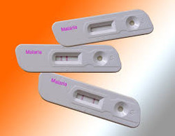 Malaria Antibody Test Kit