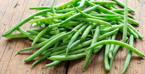 Organic Fresh Green Beans