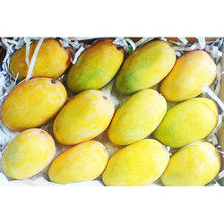 Organic Fresh Kesar Mango