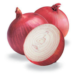 Round Organic Fresh Onion