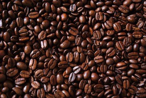 Coffee beans, Packaging Size : 10 To 20kg 20 To 40kg 40 To 60 Kg