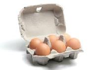 Recycled Paper Plain Egg Carton for Storage Transportation
