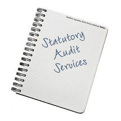 Statutory Audit Services